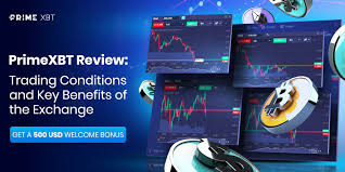 The Ultimate Guide to PrimeXBT Spot Trading